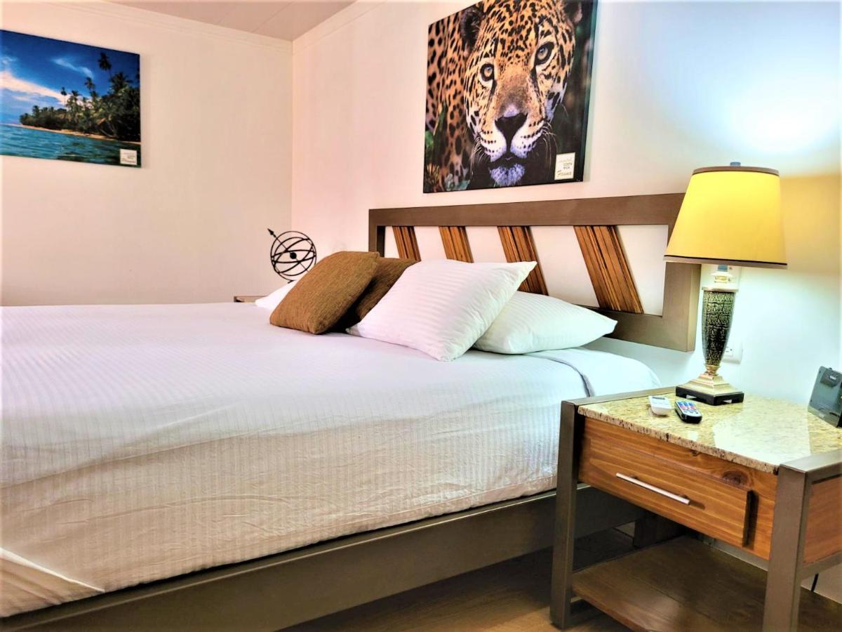 Hotel Zima San Isidro De El General Extérieur photo