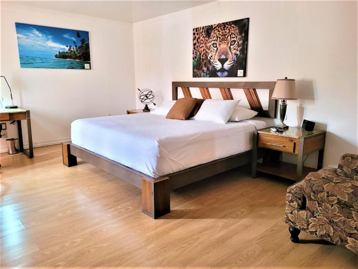 Hotel Zima San Isidro De El General Extérieur photo